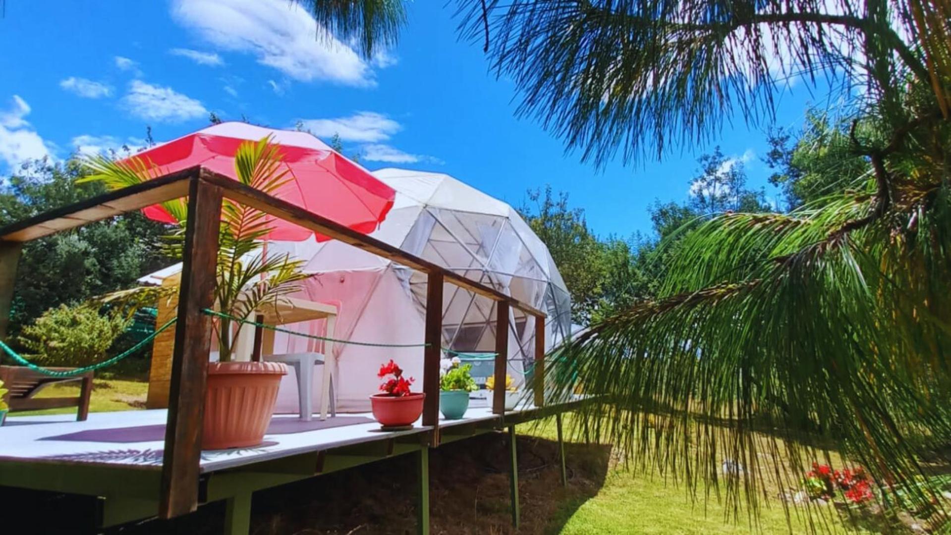 El Alpino Glamping & Campsite *