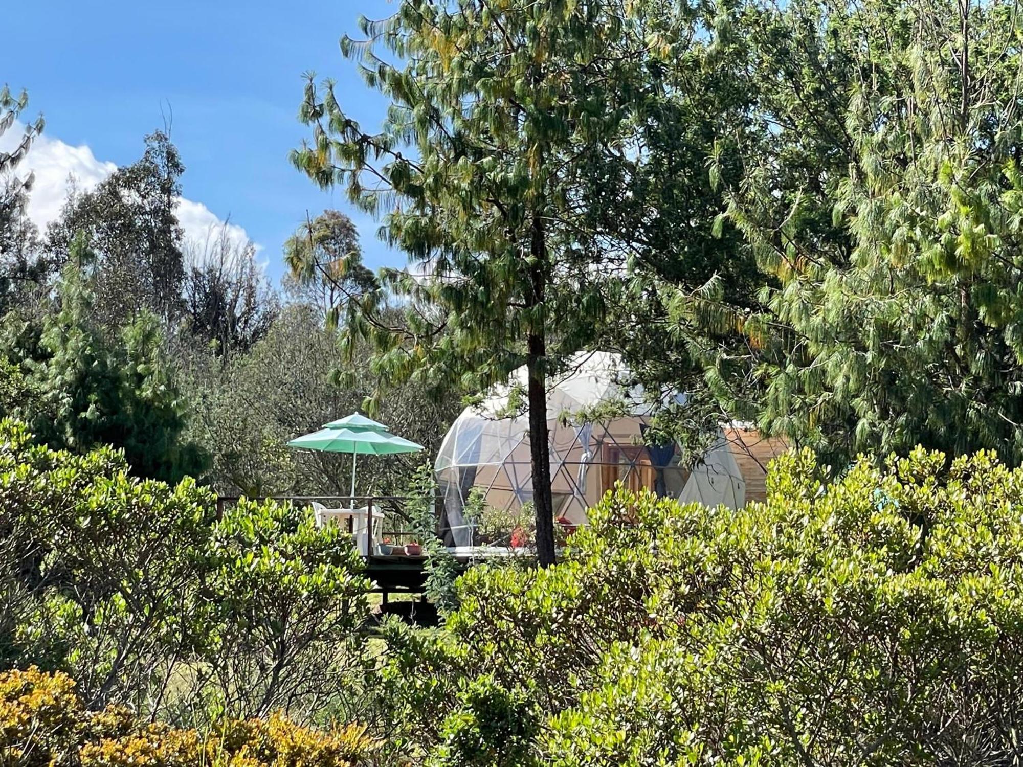 El Alpino Glamping & Campsite