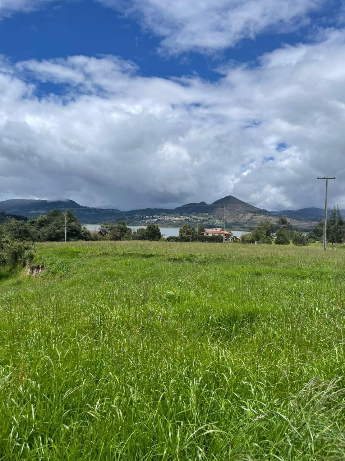 Parque de Campismo El Alpino Glamping & *