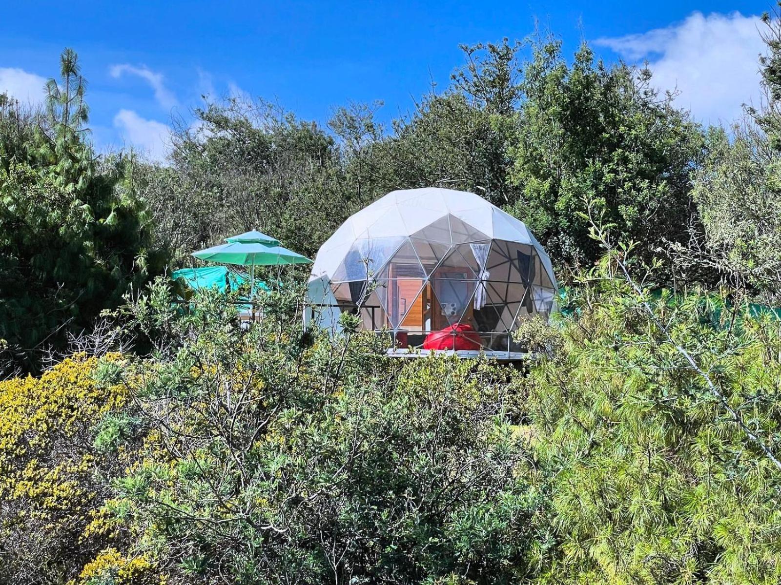 El Alpino Glamping & Campsite *